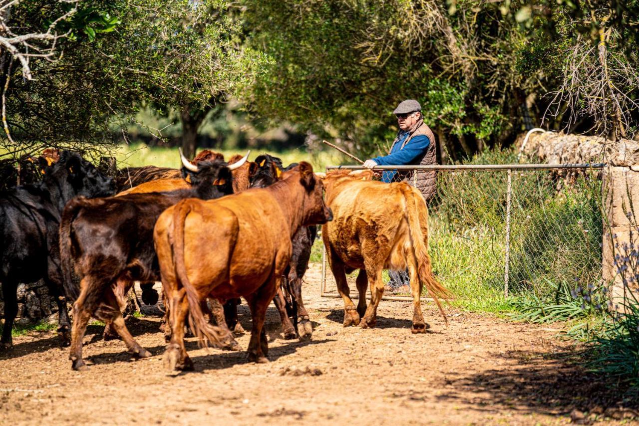 Finca Agroturismo Son Menut Felanitx Esterno foto