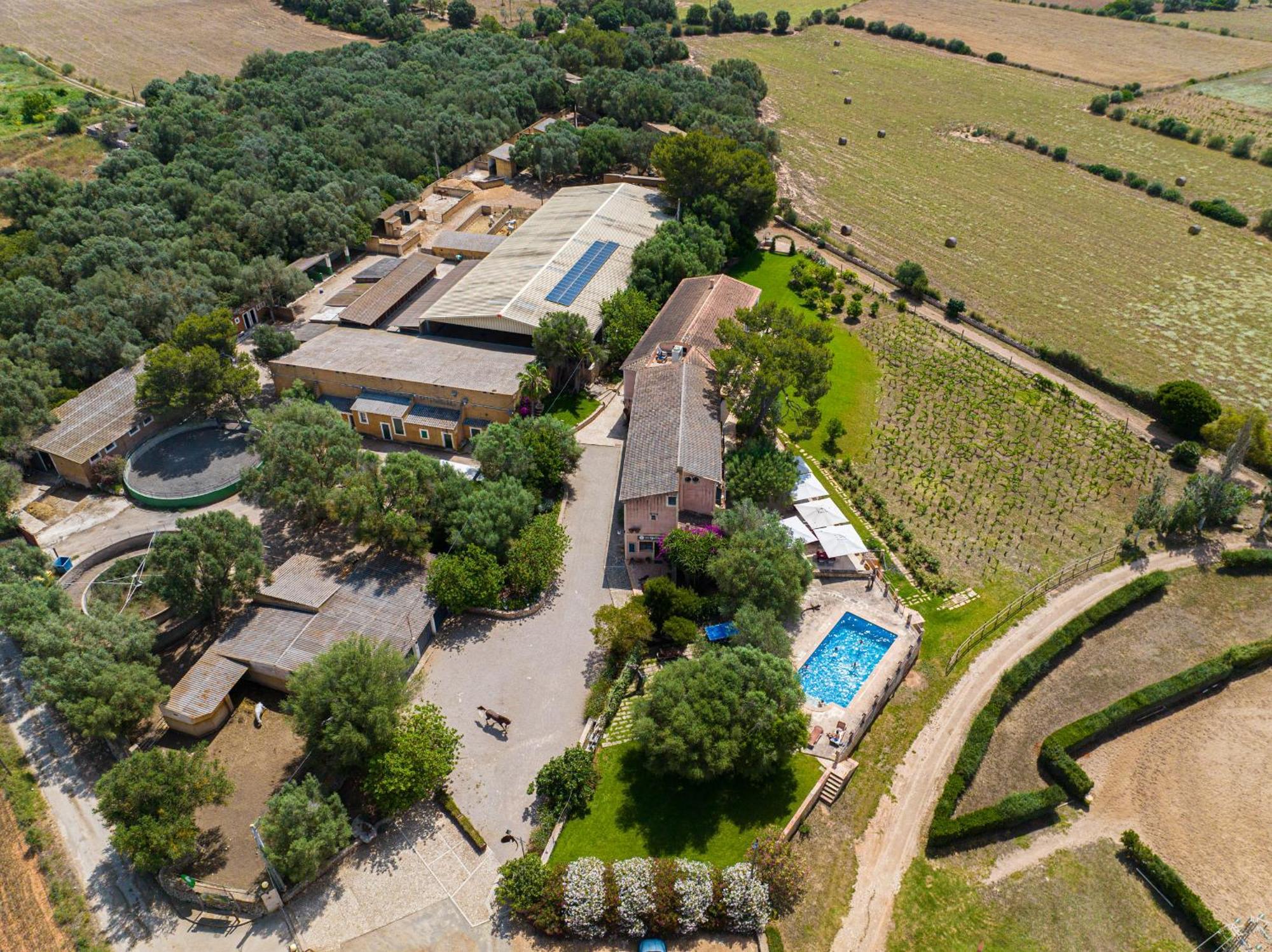 Finca Agroturismo Son Menut Felanitx Esterno foto