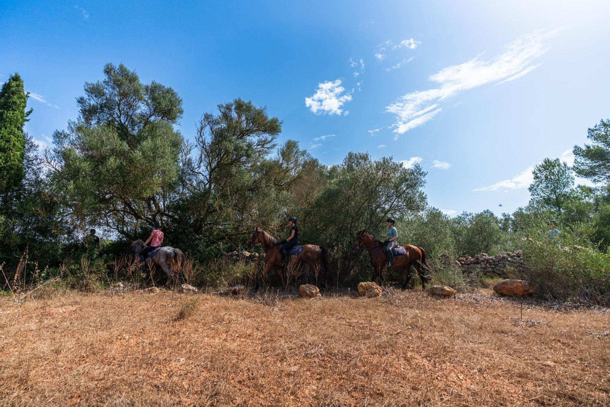 Finca Agroturismo Son Menut Felanitx Esterno foto