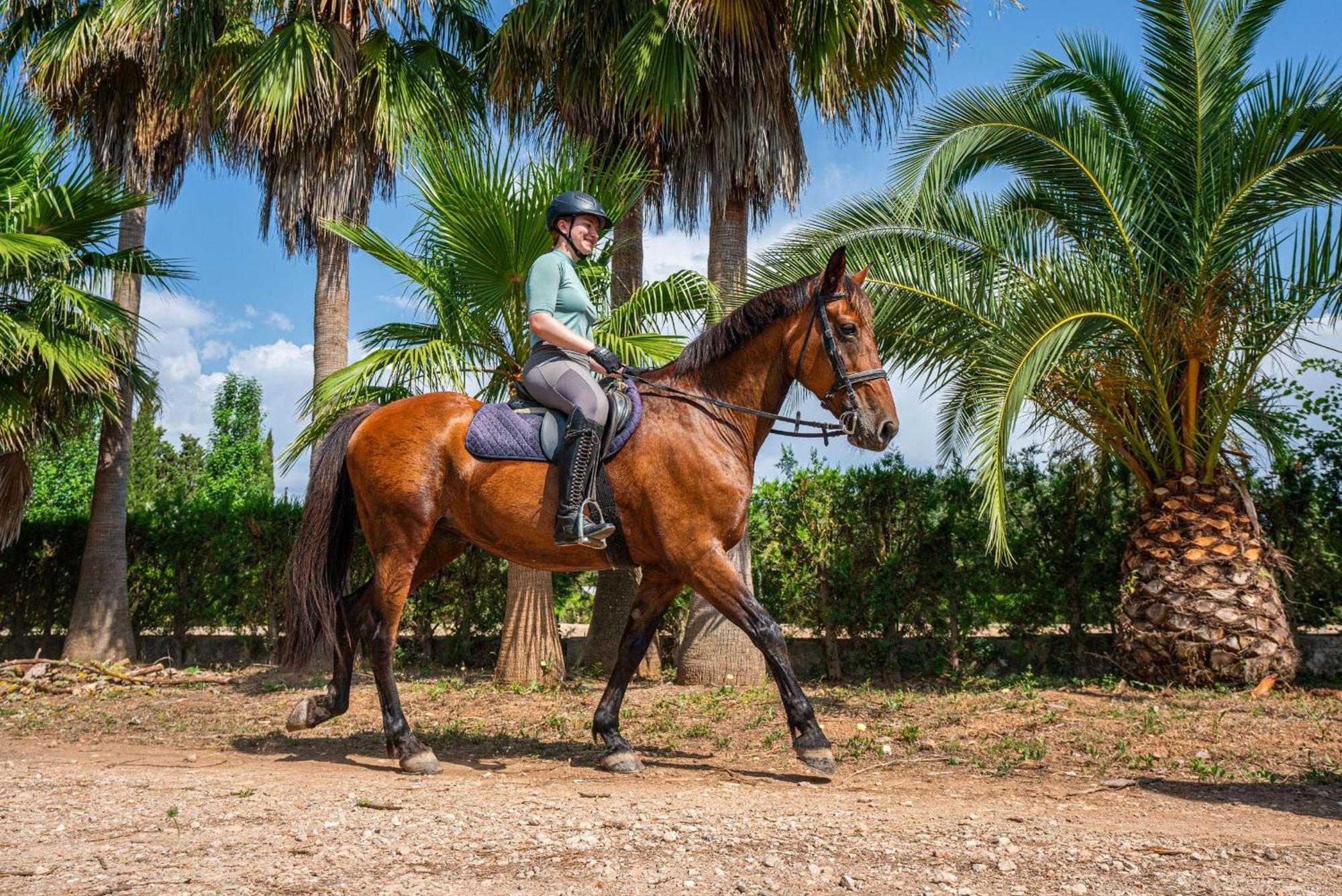 Finca Agroturismo Son Menut Felanitx Esterno foto