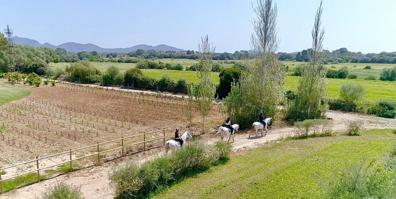 Finca Agroturismo Son Menut Felanitx Esterno foto